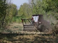 Pics_22